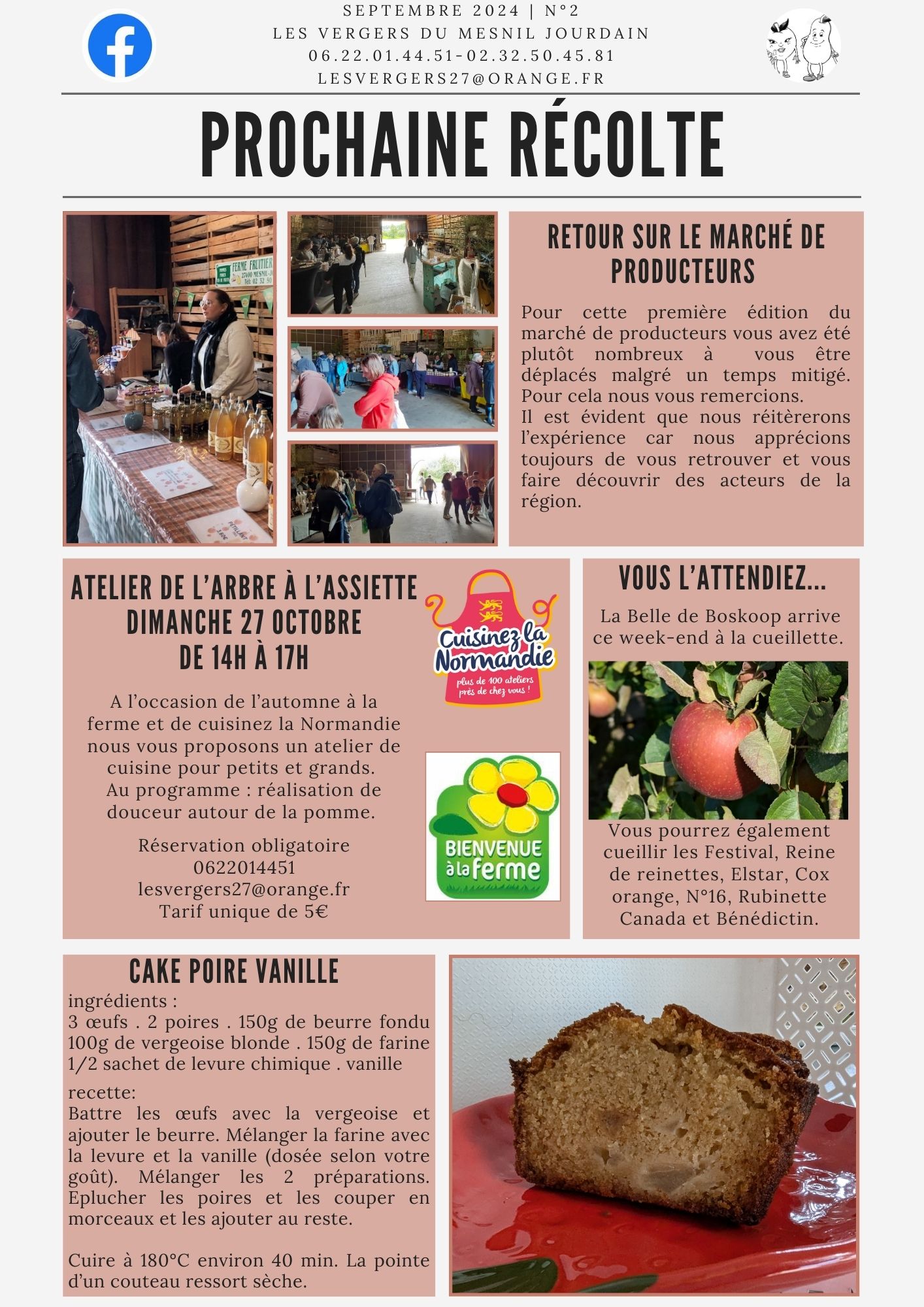 newsletter 