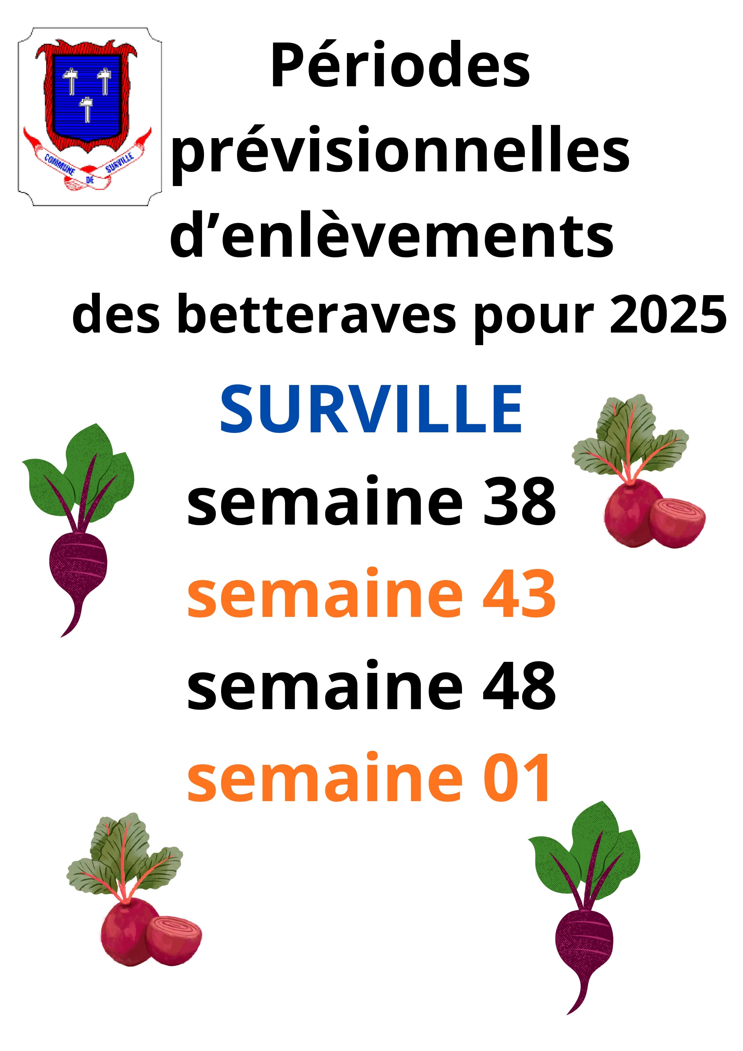 betterave page 0001 1